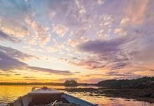 La aplicación de bioestimulantes a base de Ascophyllum nodosum impulsa la productividad sustentable de la soya La aplicación de bioestimulantes a base de Ascophyllum nodosum impulsa la productividad sustentable de la soya