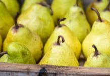 La industria de la pera de California se pronuncia en contra de las importaciones argentinas