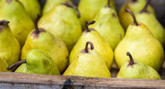 La industria de la pera de California se pronuncia en contra de las importaciones argentinas
