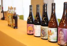 Lanzan nueva plataforma para rescatar la identidad de los vinos del Biobío