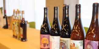 Lanzan nueva plataforma para rescatar la identidad de los vinos del Biobío