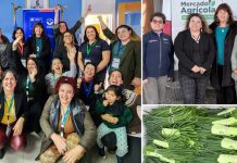 Los Encuentros Red MAI cierran su ciclo 2025 en Puerto Natales junto a directora ejecutiva de FIA