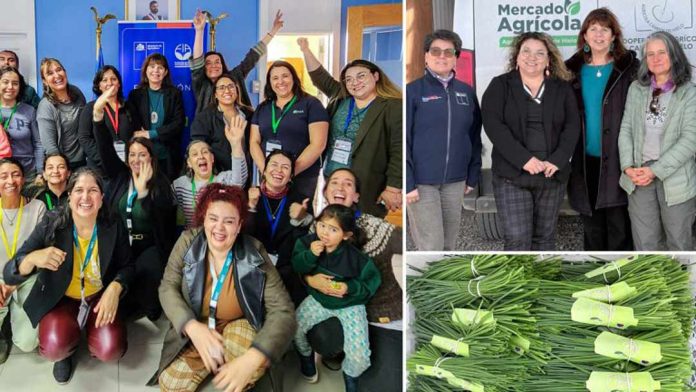 Los Encuentros Red MAI cierran su ciclo 2025 en Puerto Natales junto a directora ejecutiva de FIA