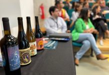 Avanza trámite para que vinos de siete comunas del Biobío reciban Denominación de Origen