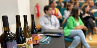 Avanza trámite para que vinos de siete comunas del Biobío reciban Denominación de Origen