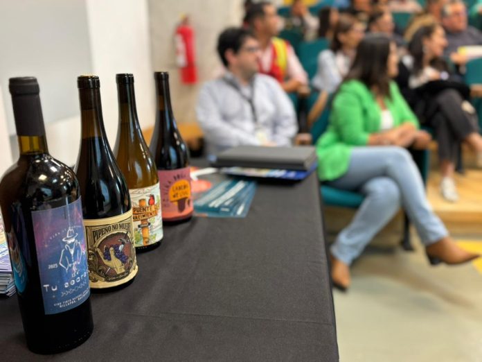 Mesa del Vino 2025 (3) Avanza trámite para que vinos de siete comunas del Biobío reciban Denominación de Origen