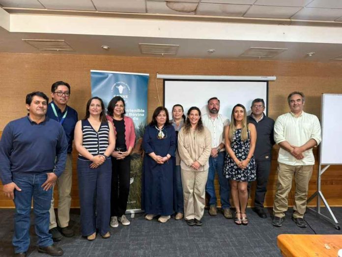 PTI Carne Bovina Los Lagos define su agenda 2026 para seguir impulsando el desarrollo ganadero regional PTI Carne Bovina Los Lagos define su agenda 2026 para seguir impulsando el desarrollo ganadero regional