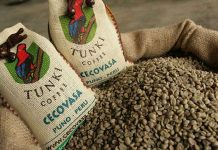 Pequeños productores impulsan récord en exportaciones de café Pequeños productores impulsan récord en exportaciones de café