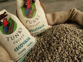 Pequeños productores impulsan récord en exportaciones de café Pequeños productores impulsan récord en exportaciones de café