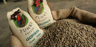 Pequeños productores impulsan récord en exportaciones de café