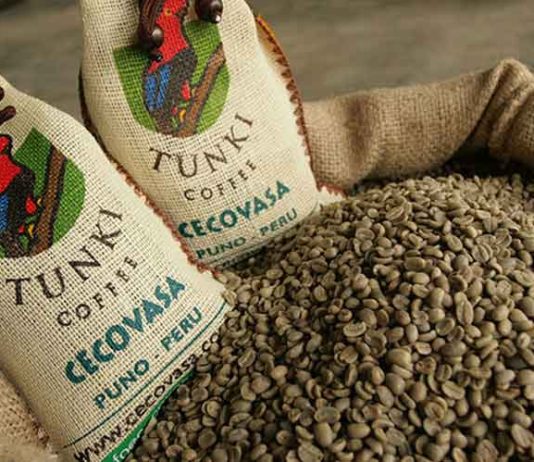 Pequeños productores impulsan récord en exportaciones de café Pequeños productores impulsan récord en exportaciones de café