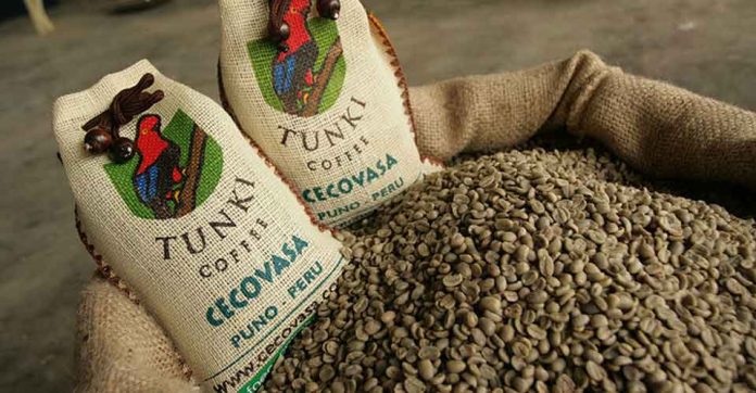 Pequeños productores impulsan récord en exportaciones de café Pequeños productores impulsan récord en exportaciones de café