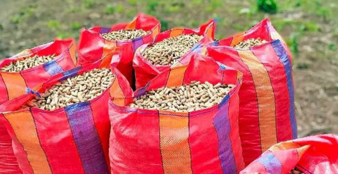 Perú | Maní, papa y cacao permiten a agricultores acceder a mercados exigentes