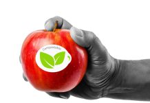 Por qué las etiquetas compostables para frutas son el futuro del envasado hortofrutícola