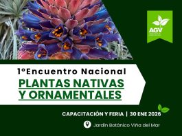 Viveros de Chile realizará su primer Encuentro Nacional de Plantas Nativas y Ornamentales en el Jardín Botánico de Viña del Mar