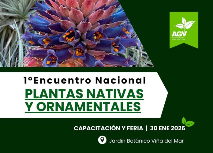 Viveros de Chile realizará su primer Encuentro Nacional de Plantas Nativas y Ornamentales en el Jardín Botánico de Viña del Mar