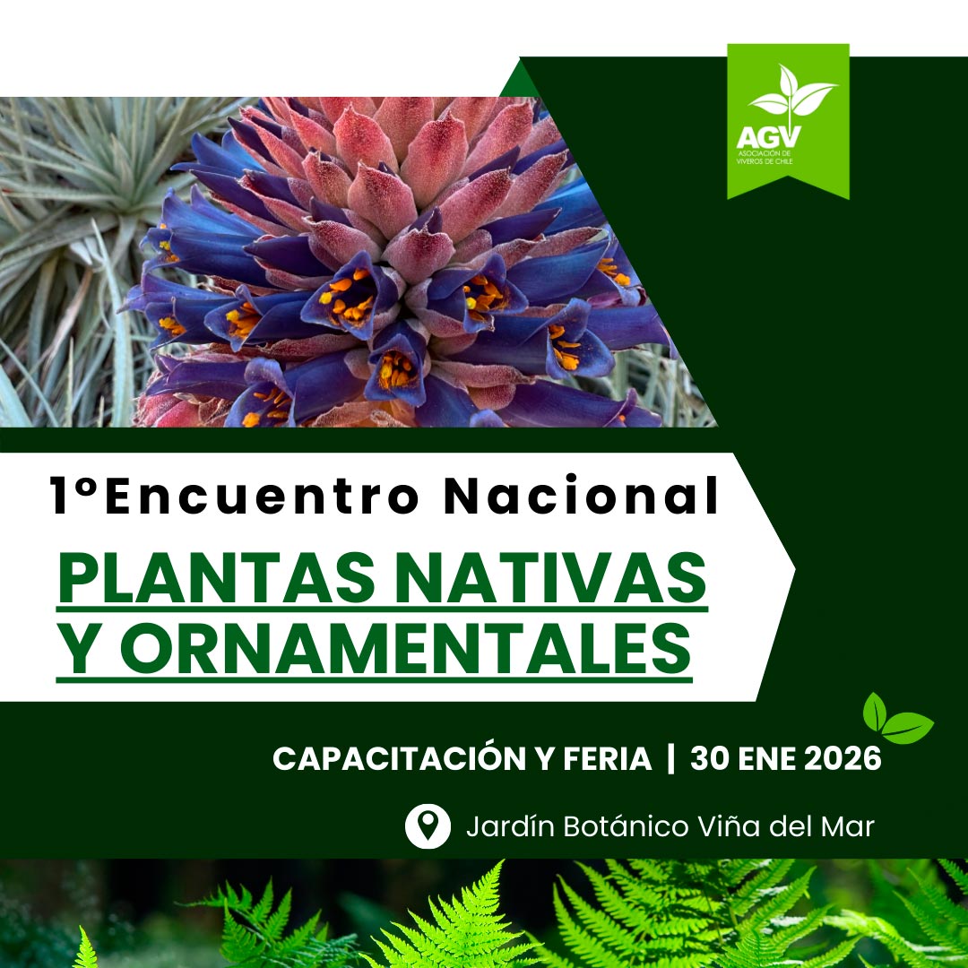 Viveros de Chile realizará su primer Encuentro Nacional de Plantas Nativas y Ornamentales en el Jardín Botánico de Viña del Mar