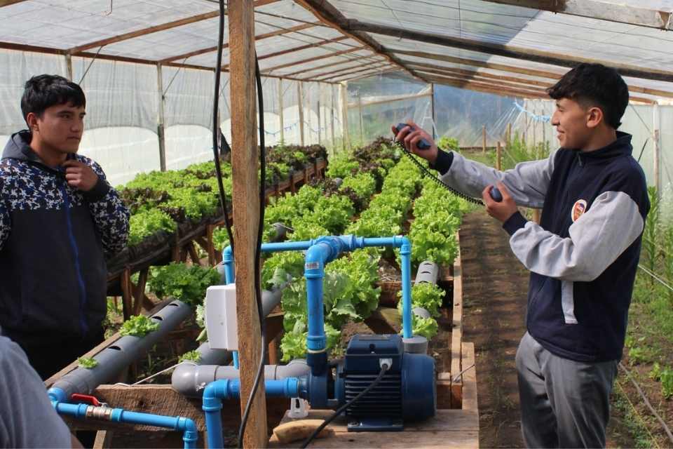 Liceo Agrícola El Vergel de Angol