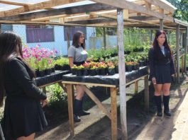 Proyectos Tecnológicos y agricultura sostenible. Liceo Agrícola El Vergel de Angol