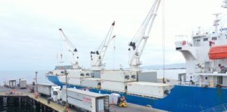 Comité de Uva de Mesa de Frutas de Chile estima contracción de 6,4% en exportaciones para temporada 2025-2026