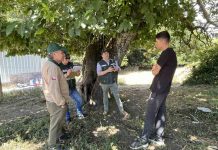 SAG Biobío llama a propietarios/as de aves de corral a reforzar medidas de bioseguridad SAG Biobío llama a propietariosas de aves de corral a reforzar medidas de bioseguridad