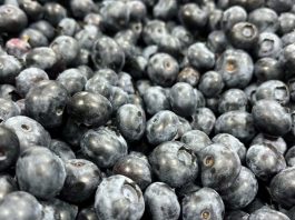 SAG Biobío supervisa Convenio de Inspección Fitosanitaria con empresas exportadoras de frutas