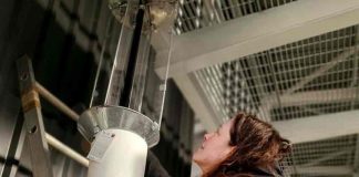 SAG MAGALLANES REFUERZA VIGILANCIA FORESTAL CON LA INSTALACIÓN DE TRAMPAS DE MONITOREO