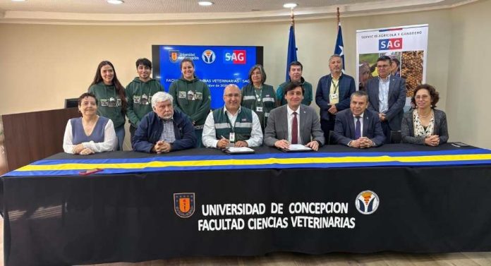 SAG y Universidad de Concepción formalizan convenio para el trabajo conjunto del Servicio y el Centro de Rehabilitación y Educación de Fauna Silvestre ANDES-UdeC SAG y Universidad de Concepción formalizan convenio para el trabajo conjunto del Servicio y el Centro de Rehabilitación y Educación de Fauna Silvestre ANDES-UdeC
