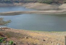 Sierra occidental enfrenta déficit de lluvias durante temporada 2025-2026