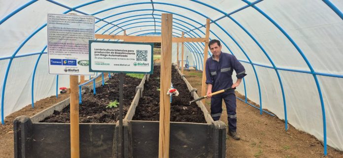 PepsiCo Positive, Agrícola Huanquihue y Biofert, Impulsan la Sostenibilidad con Lombricultura Intensiva para Producción de Bioestimulantes