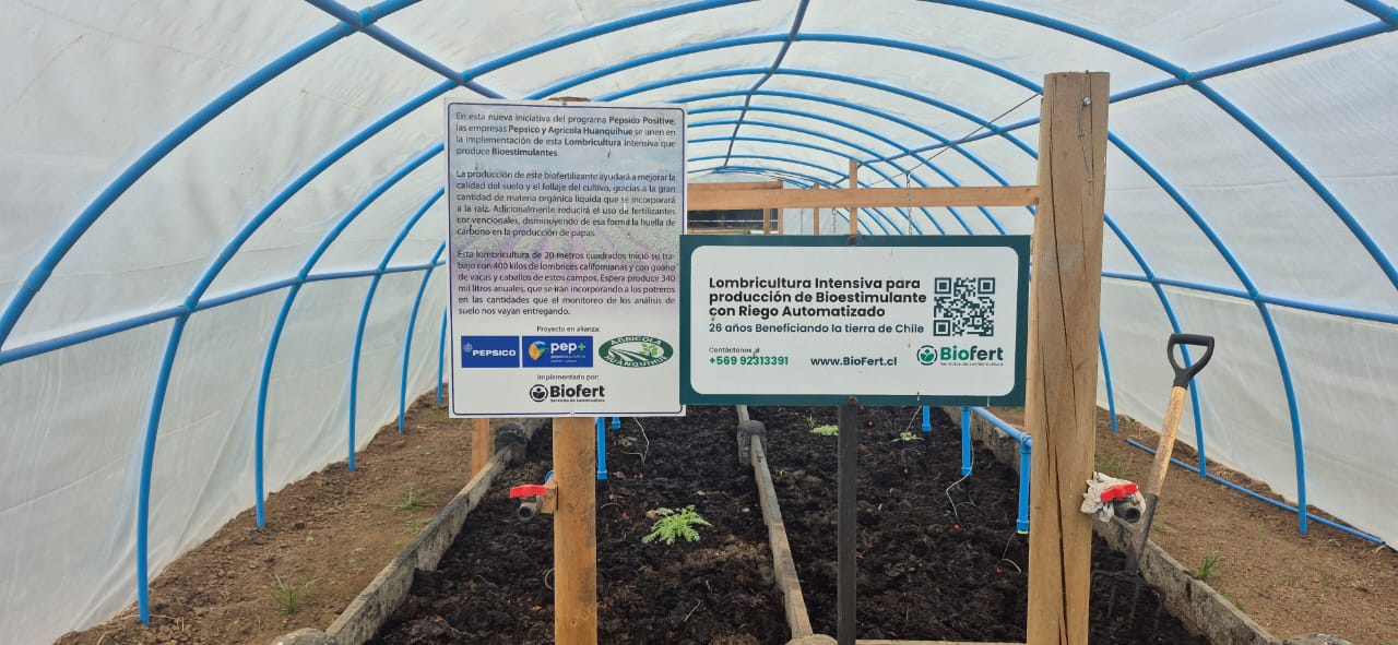 PepsiCo Positive, Agrícola Huanquihue y Biofert, Impulsan la Sostenibilidad con Lombricultura Intensiva para Producción de Bioestimulantes