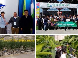 Tecnologías agrícolas de China y Taiwán marcan el rumbo del agro del futuro