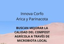 Carlos Meza, CEO de Terragénesis: "En Arica podemos hacer lo que por definición es una agricultura regenerativa"