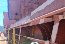 Thyrinteina arnobia: SAG Biobío intercepta masas de huevos de plaga forestal en cubierta de buque Thyrinteina arnobia SAG Biobío intercepta masas de huevos de plaga forestal en cubierta de buque