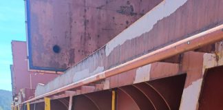 Thyrinteina arnobia SAG Biobío intercepta masas de huevos de plaga forestal en cubierta de buque