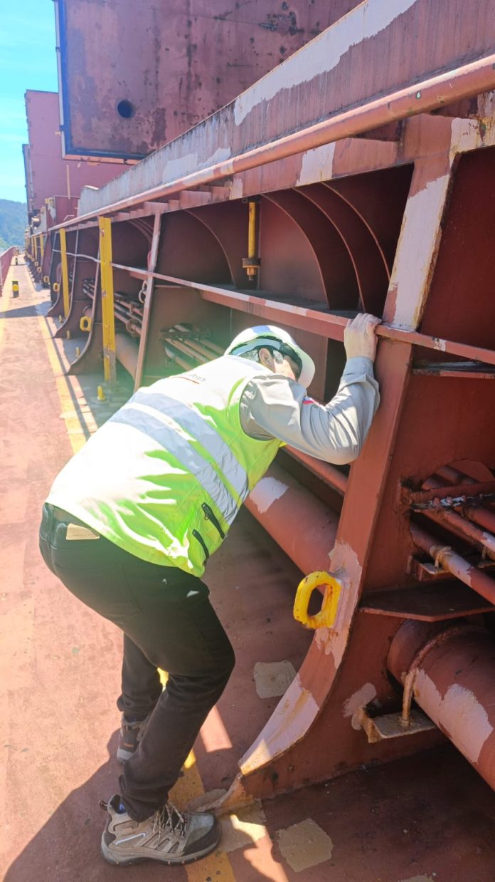 Thyrinteina arnobia SAG Biobío intercepta masas de huevos de plaga forestal en cubierta de buque