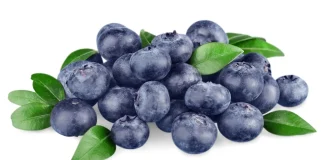 Avance de la Temporada Arándanos de Chile 2025-26: Se prevé un adelanto en los despachos para las próximas semanas