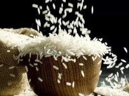 India: ‘La producción de arroz de la India puede alcanzar las 152 toneladas en 2025-26’ India: ‘La producción de arroz de la India puede alcanzar las 152 toneladas en 2025-26’