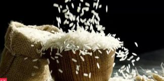 India: ‘La producción de arroz de la India puede alcanzar las 152 toneladas en 2025-26’