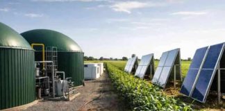 Argentina | Agrovoltaica para biometano: cómo el calor del sol puede transformar el negocio energético en el campo