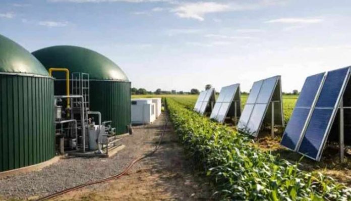 Argentina | Agrovoltaica para biometano: cómo el calor del sol puede transformar el negocio energético en el campo