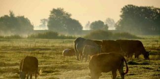 Clínica Santa María inaugura nueva sede en Los Dominicos https://portalredsalud.cl/2025/12/10/clinica-santa-maria-inaugura-nueva-sede-en-los-dominicos/ a través de @PortalRedSalu