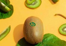 España Los inviernos más cálidos afectan la producción de kiwi español España Los inviernos más cálidos afectan la producción de kiwi español
