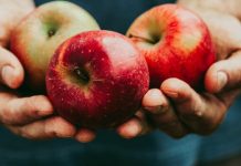 ProChile adjudica más de $1.966 millones para ejecutar proyectos en el marco del Concurso Silvoagropecuario 2026