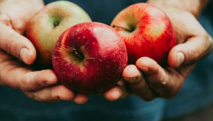 ProChile adjudica más de $1.966 millones para ejecutar proyectos en el marco del Concurso Silvoagropecuario 2026