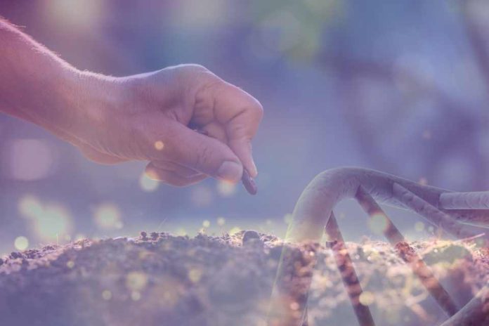 semillas y avances en biotecnología Colombia | Sector de semillas celebra avances en biotecnología, pero advierte sobre piratería y retrasos regulatorios