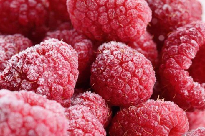 Moroccan frozen raspberry exports to France hit record high