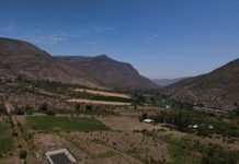 Agricultora salamanquina optimiza el riego de sus cultivos mediante proyecto bonificado por Banco de Proyectos de la CNR Agricultora salamanquina optimiza el riego de sus cultivos mediante proyecto bonificado por Banco de Proyectos de la CNR