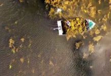 Alga marina es aliada de la agricultura frente a la sequía y la irregularidad de las lluvias Alga marina es aliada de la agricultura frente a la sequía y la irregularidad de las lluvias