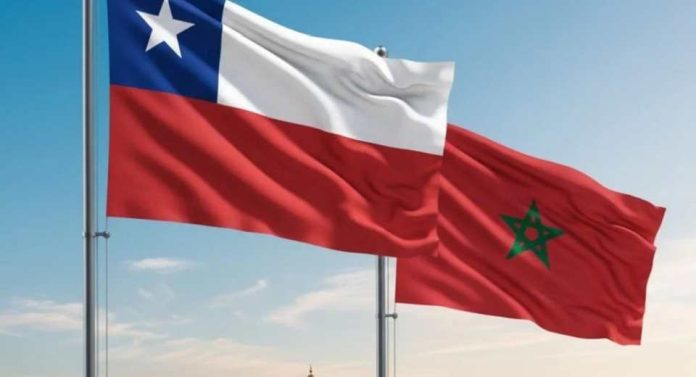 Análisis Marruecos, el nuevo puente estratégico para las exportaciones chilenas en África